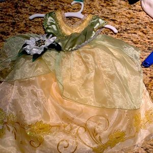 Princess and a Frog dress up dress for playtime or Halloween costume